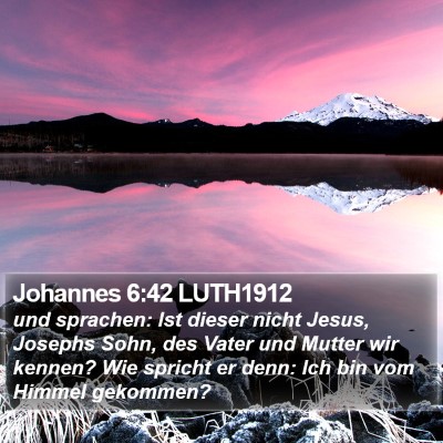 Johannes 6:42 LUTH1912 Bible Verse Image