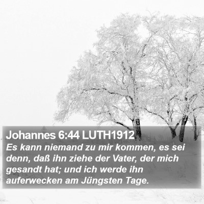 Johannes 6:44 LUTH1912 Bible Verse Image