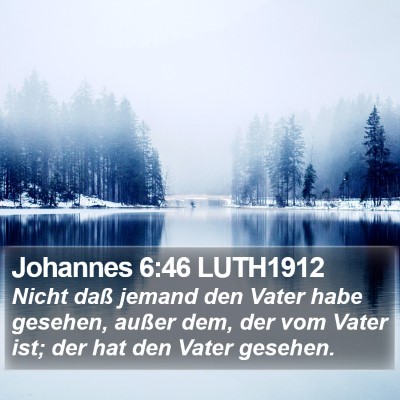 Johannes 6:46 LUTH1912 Bible Verse Image