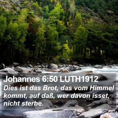 Johannes 6:50 LUTH1912 Bible Verse Image
