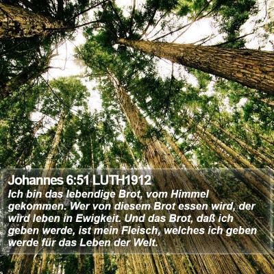 Johannes 6:51 LUTH1912 Bible Verse Image