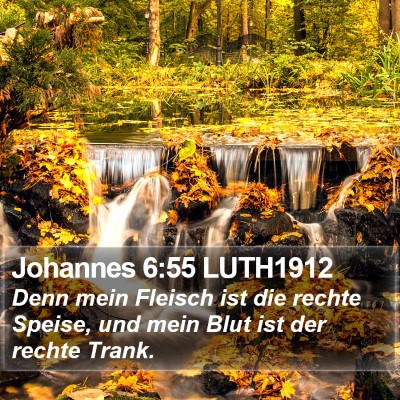 Johannes 6:55 LUTH1912 Bible Verse Image