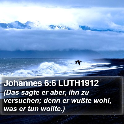 Johannes 6:6 LUTH1912 Bible Verse Image