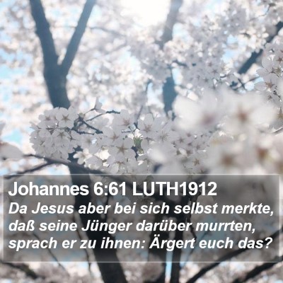 Johannes 6:61 LUTH1912 Bible Verse Image