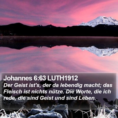 Johannes 6:63 LUTH1912 Bible Verse Image