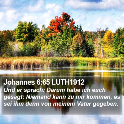 Johannes 6:65 LUTH1912 Bible Verse Image