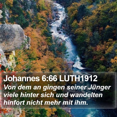 Johannes 6:66 LUTH1912 Bible Verse Image