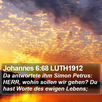 Johannes 6:68 LUTH1912 Bible Verse Image