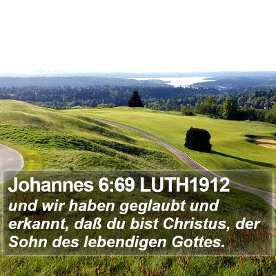 Johannes 6:69 LUTH1912 Bible Verse Image
