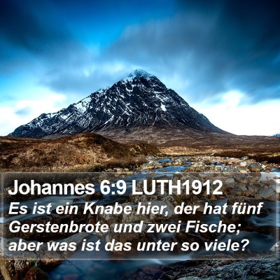 Johannes 6:9 LUTH1912 Bible Verse Image