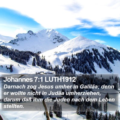 Johannes 7:1 LUTH1912 Bible Verse Image