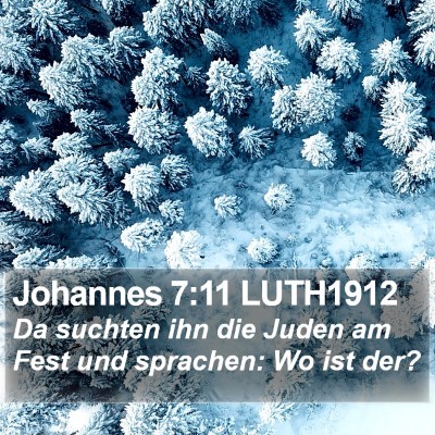 Johannes 7:11 LUTH1912 Bible Verse Image
