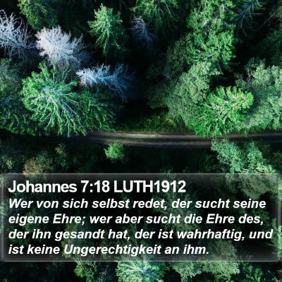Johannes 7:18 LUTH1912 Bible Verse Image