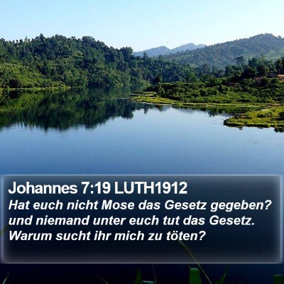 Johannes 7:19 LUTH1912 Bible Verse Image