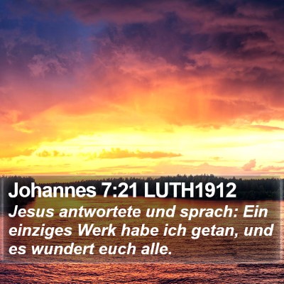 Johannes 7:21 LUTH1912 Bible Verse Image