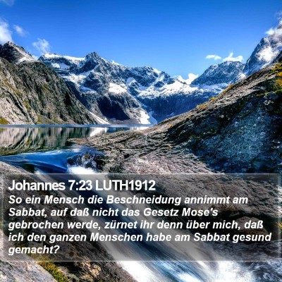 Johannes 7:23 LUTH1912 Bible Verse Image