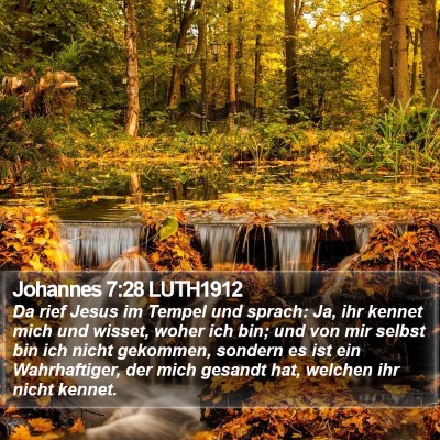 Johannes 7:28 LUTH1912 Bible Verse Image