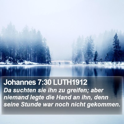 Johannes 7:30 LUTH1912 Bible Verse Image