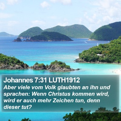 Johannes 7:31 LUTH1912 Bible Verse Image
