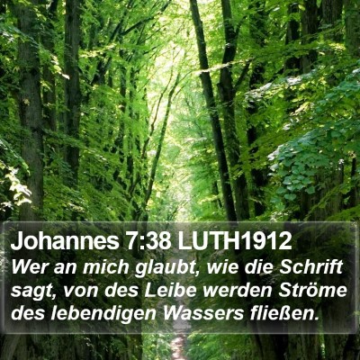 Johannes 7:38 LUTH1912 Bible Verse Image