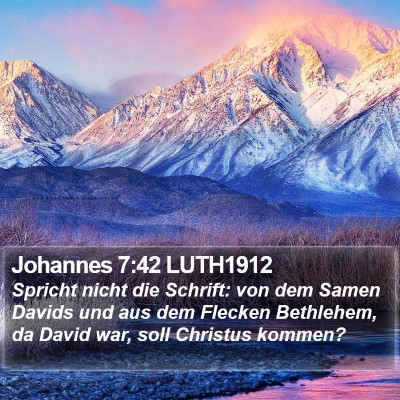 Johannes 7:42 LUTH1912 Bible Verse Image