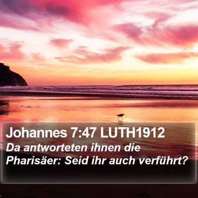 Johannes 7:47 LUTH1912 Bible Verse Image