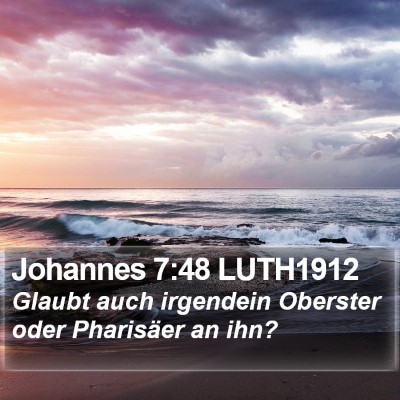 Johannes 7:48 LUTH1912 Bible Verse Image