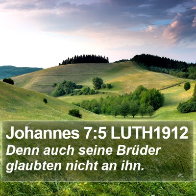Johannes 7:5 LUTH1912 Bible Verse Image