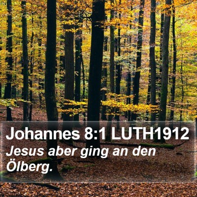 Johannes 8:1 LUTH1912 Bible Verse Image