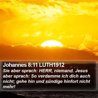 Johannes 8:11 LUTH1912 Bible Verse Image