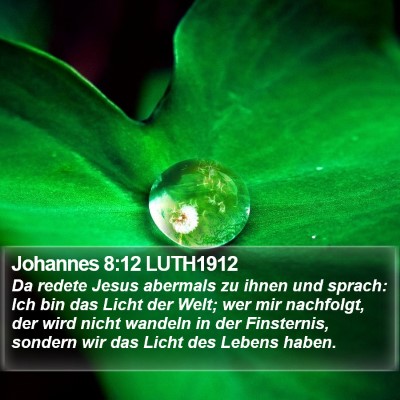 Johannes 8:12 LUTH1912 Bible Verse Image