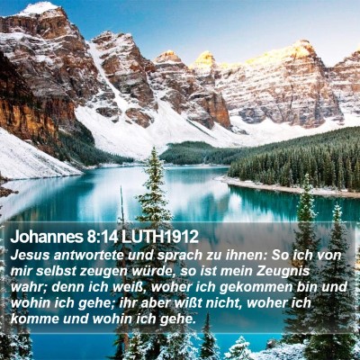 Johannes 8:14 LUTH1912 Bible Verse Image