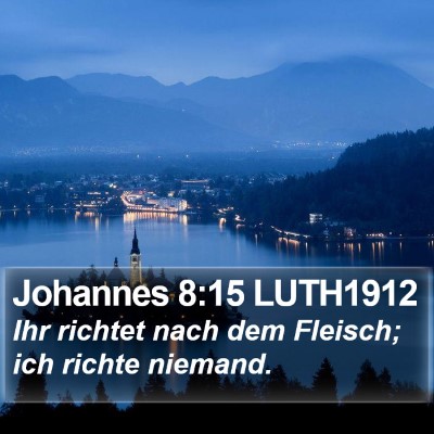 Johannes 8:15 LUTH1912 Bible Verse Image