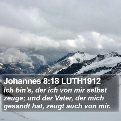 Johannes 8:18 LUTH1912 Bible Verse Image