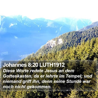 Johannes 8:20 LUTH1912 Bible Verse Image