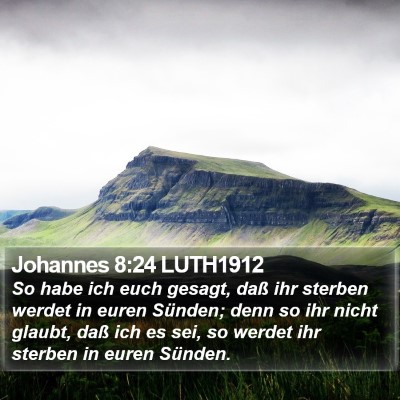 Johannes 8:24 LUTH1912 Bible Verse Image