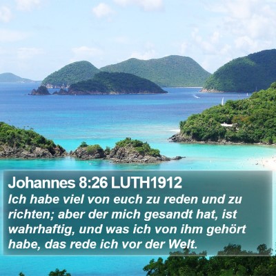 Johannes 8:26 LUTH1912 Bible Verse Image
