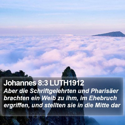 Johannes 8:3 LUTH1912 Bible Verse Image
