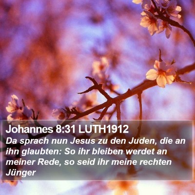 Johannes 8:31 LUTH1912 Bible Verse Image