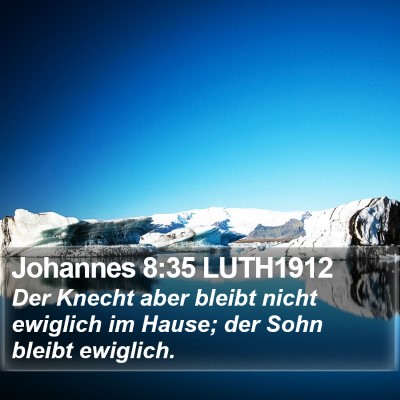 Johannes 8:35 LUTH1912 Bible Verse Image