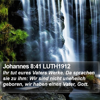 Johannes 8:41 LUTH1912 Bible Verse Image