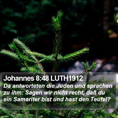 Johannes 8:48 LUTH1912 Bible Verse Image