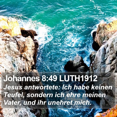 Johannes 8:49 LUTH1912 Bible Verse Image