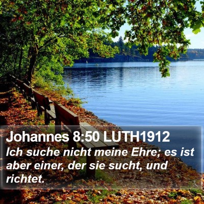 Johannes 8:50 LUTH1912 Bible Verse Image
