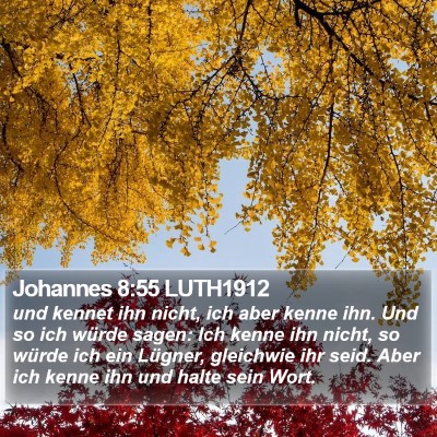 Johannes 8:55 LUTH1912 Bible Verse Image