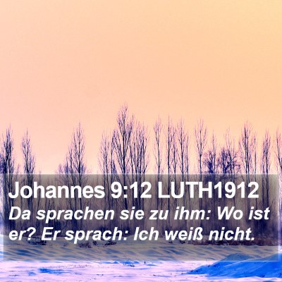 Johannes 9:12 LUTH1912 Bible Verse Image