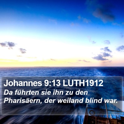 Johannes 9:13 LUTH1912 Bible Verse Image
