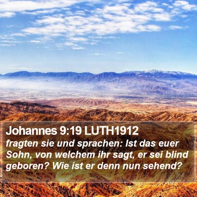 Johannes 9:19 LUTH1912 Bible Verse Image