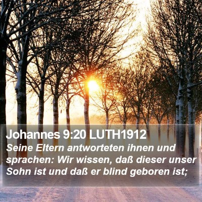 Johannes 9:20 LUTH1912 Bible Verse Image