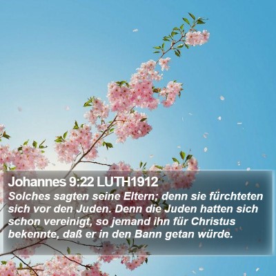Johannes 9:22 LUTH1912 Bible Verse Image